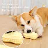 Peanut Squeaky Chew Toy