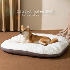 Oval Plush Dog Cushion Bed – Small Dogs
