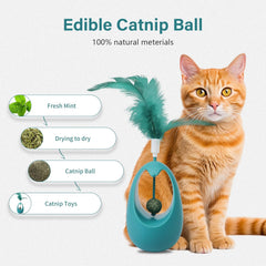 Catnip Tumbler Feather Cat Toy