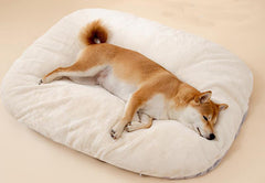 Oval Plush Dog Cushion Bed – Small Dogs