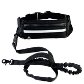 Hands-Free Dog Leash Belt