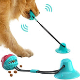 Suction Tug Dog Toy