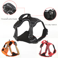 Comfortable Dog Harness