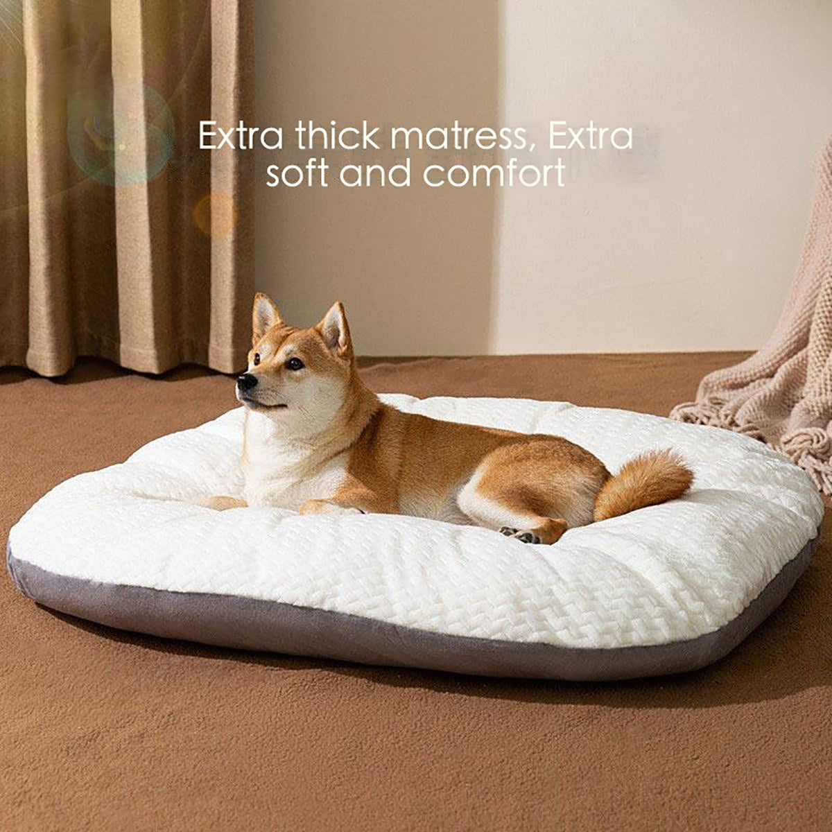 Oval Plush Dog Cushion Bed – Small Dogs