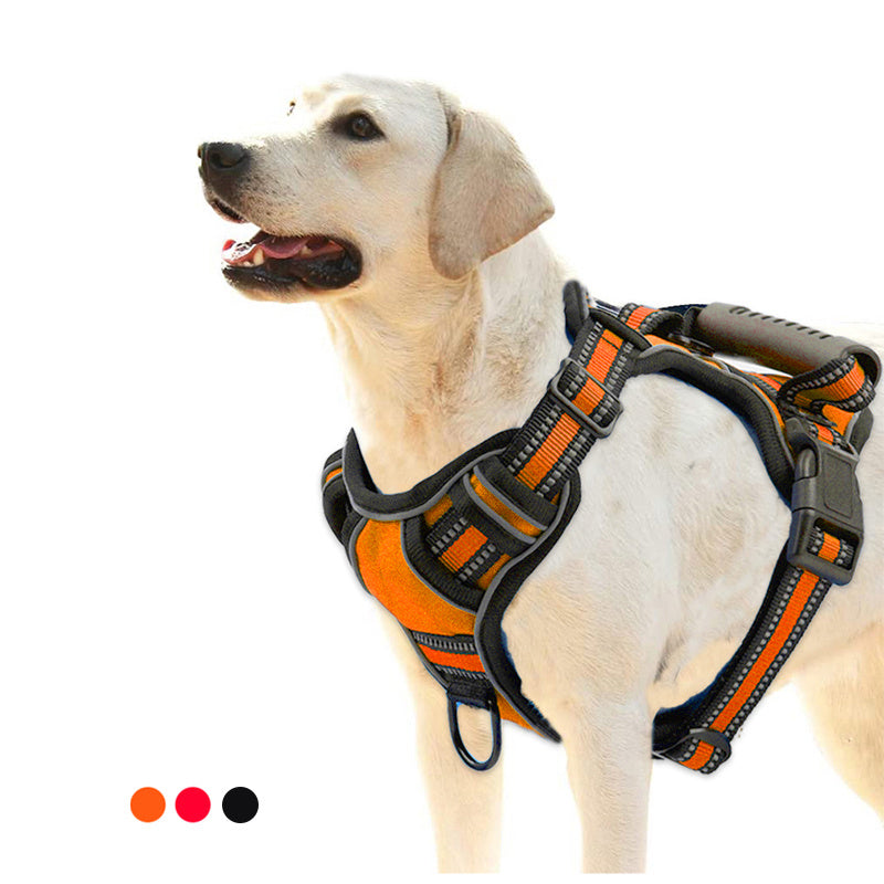 Comfortable Dog Harness